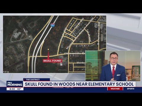 Human remains found near elementary school in southwest DC