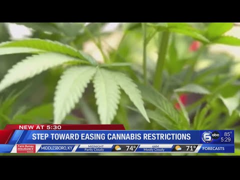 Step toward easing cannabis restrictions