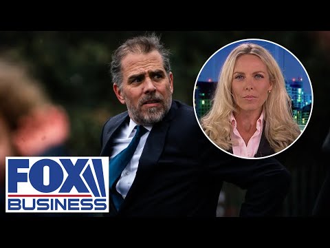 Hunter Biden tax charges are 'black and white': Fmr FBI special agent