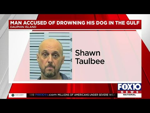 Theodore man allegedly drowns dog in Gulf because of fleas