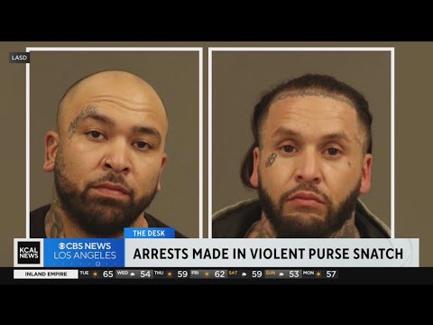 Brothers arrested beating, robbing woman in Costco parking lot