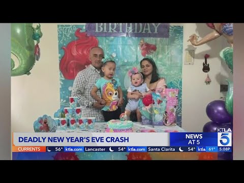 Toddler fighting for life after family killed by hit-and-run driver in South L.A.