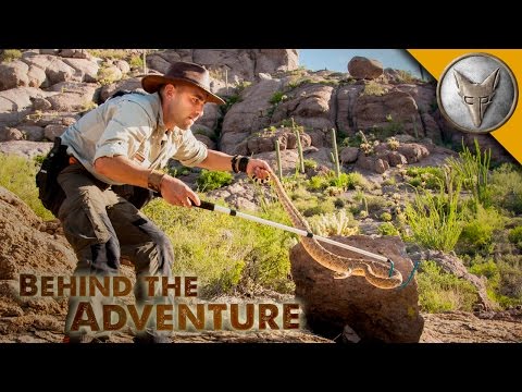 Western Diamondback Rattlesnake - Behind the Adventure