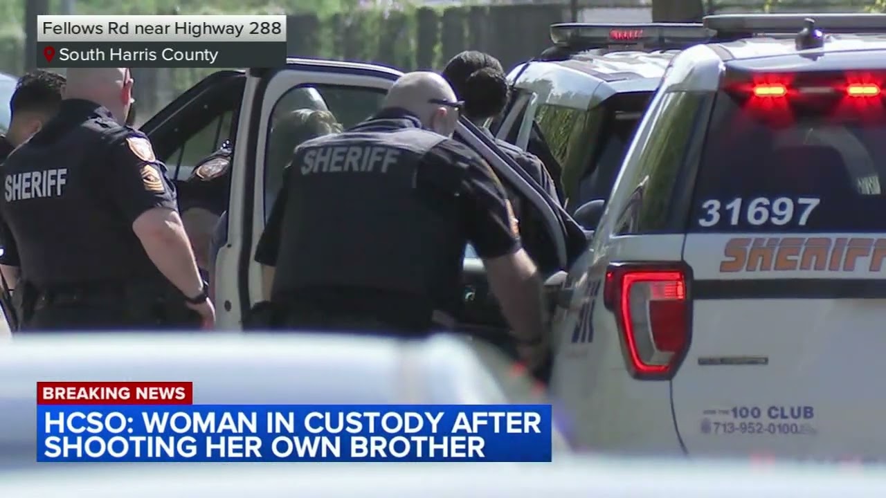 Woman shot brother during fight over property in S. Harris Co.: HCSO