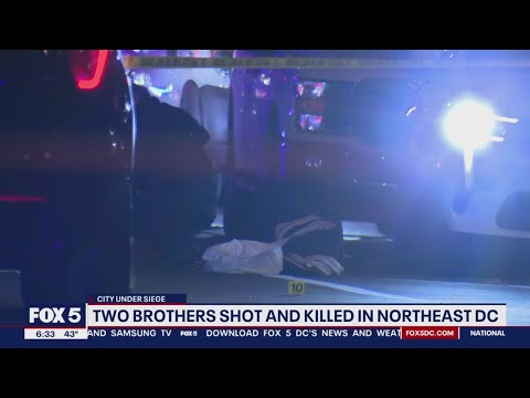 Family shattered after two brothers killed in Northeast DC shooting