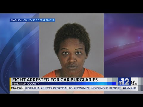 8 arrested after 11 vehicles burglarized in Madison