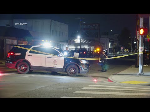 Pedestrian Fatally Struck, Dragged in Hit-and-Run Traffic Collision in Los Angeles