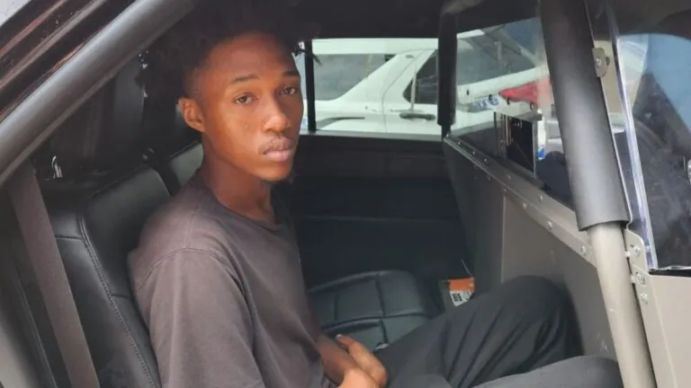 19-year-old arrested for throwing explosive device under a police car