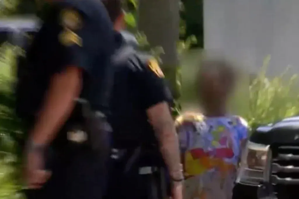 In Alabama, an 8-year-old boy was arrested after allegedly stealing a car at gunpoint