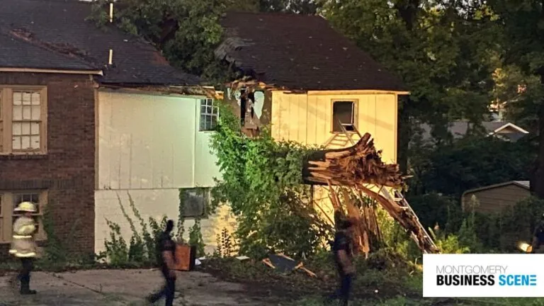 Video of Multiple Trees Falling in Alabama The Storm Is Jaw-Dropping