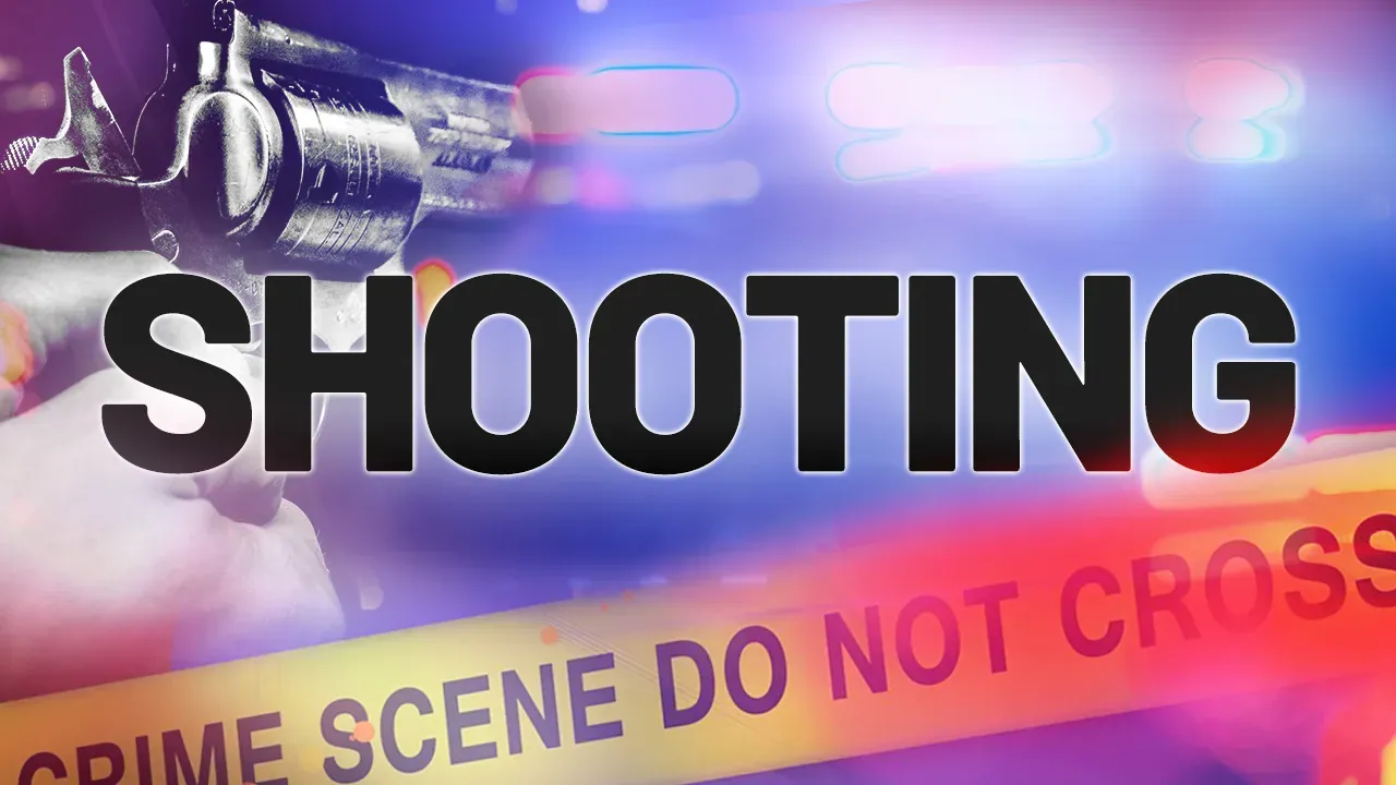 One person is hospitalized as a result of gunfire in the Brighton neighborhood.