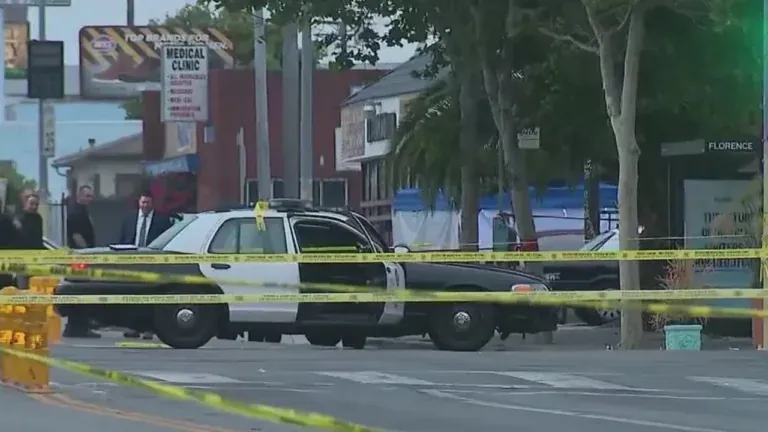 CHP opens fire on driver who tried to ram officers during traffic stop in Compton: Authorities