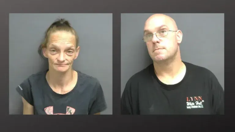 Pittsfield Police arrested two individuals in late-night drug bust