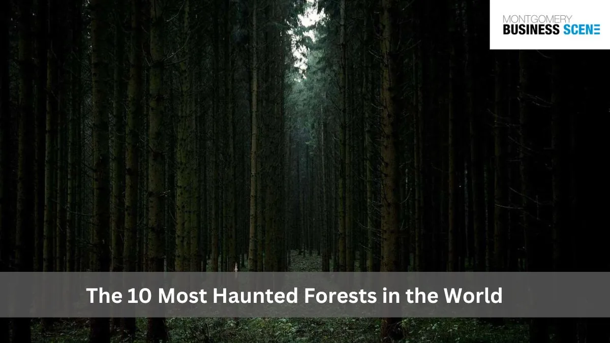The 10 Most Haunted Forests in the World