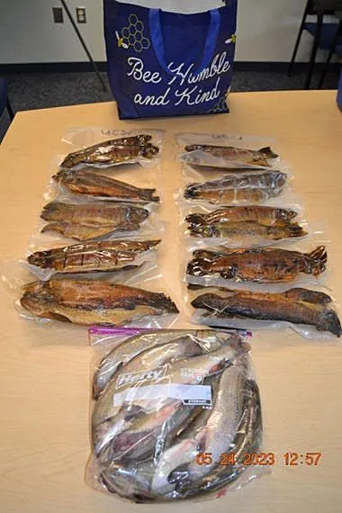 Undercover Operation Nabs Illegal Fish Seller In Orange County, New York