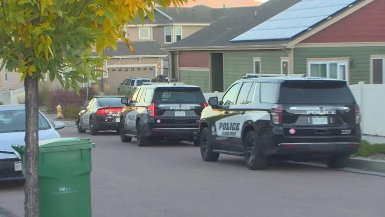 1 person in custody following stabbing in southeast Colorado Springs home