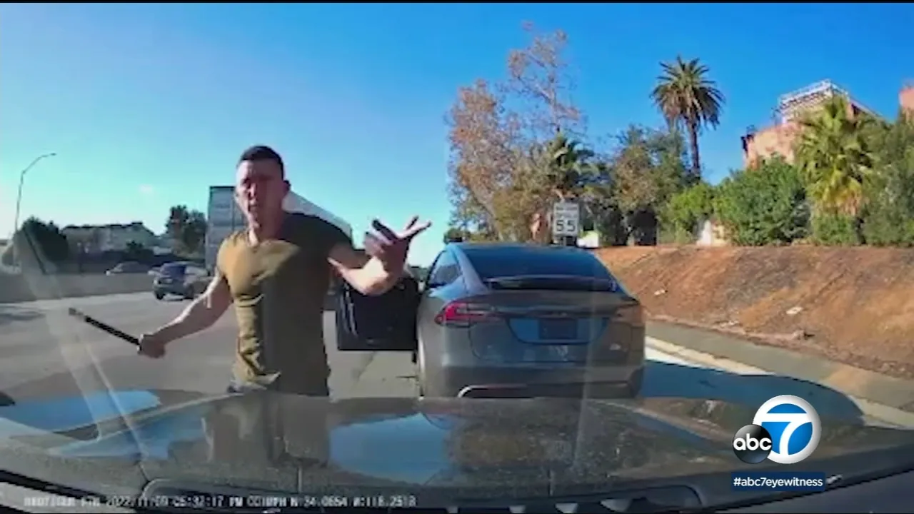 Driver of Tesla receives 5-year imprisonment for road-rage assaults