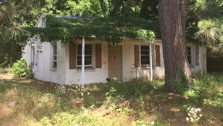 Frustrated Residents and Officials Declare They've Had Enough of Montgomery Blight