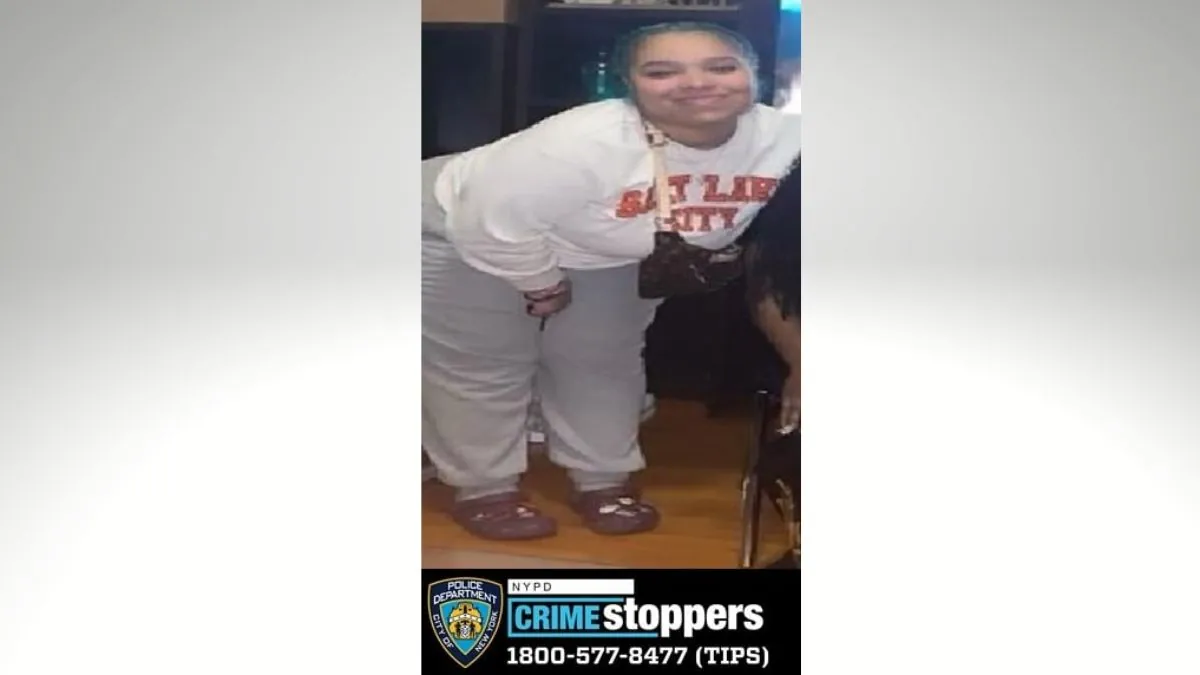 Teen Reported Missing in the Bronx