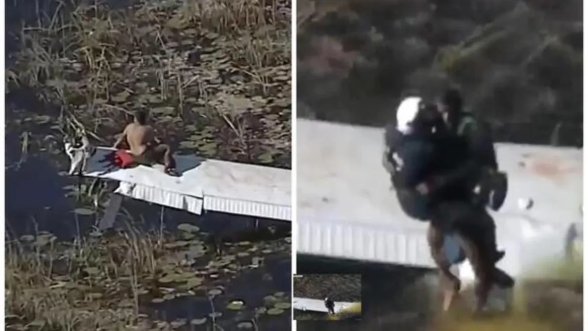 A pilot crash-landed in the Florida Everglades and waited on his plane's wing over alligator-infested water for hours until he was rescued
