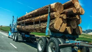 Alabama Woman Killed by Logs Falling From Log Truck and Hitting Her Car