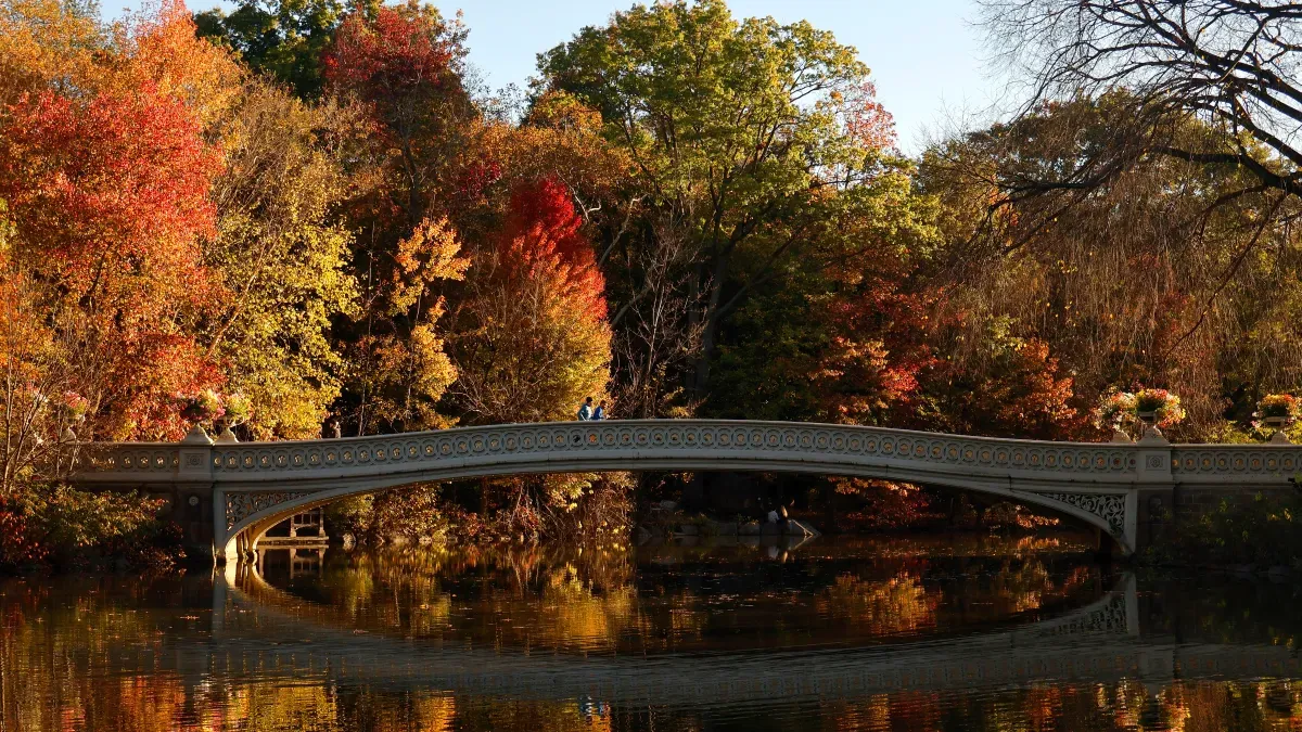 Central Park ranked top spot in U.S. for leaf peeping