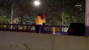 Investigators ID woman fatally struck by car on Bruckner Expressway