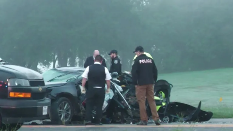 Man dies after slamming car into pole following chase, League City police say