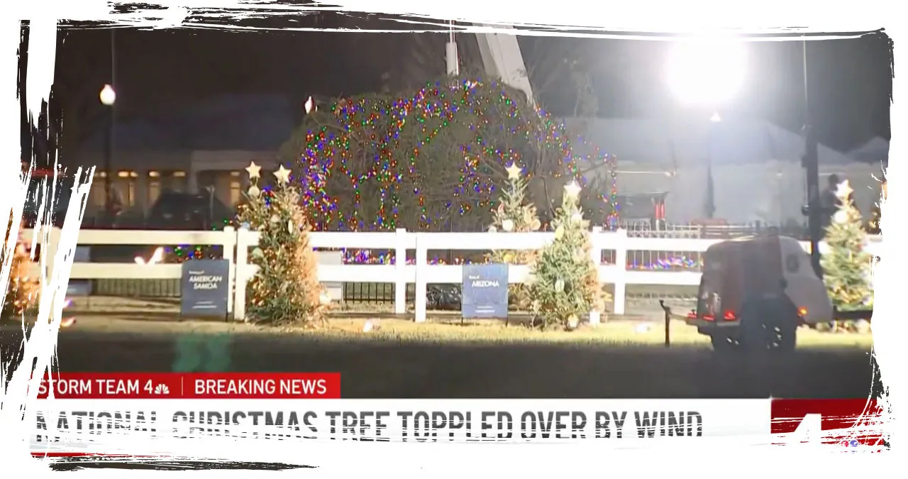 National Christmas Tree in Washington, D.C. Knocked Down by Strong Winds