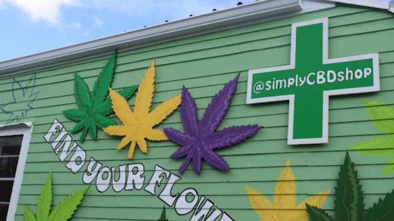 New Orleans Cannabis Dispensary Robbed At Night