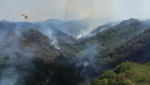 There’s another wildfire burning in Hawaii. This one is destroying irreplaceable rainforest on Oahu.
