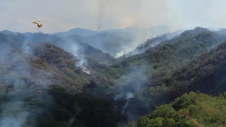 There’s another wildfire burning in Hawaii. This one is destroying irreplaceable rainforest on Oahu.