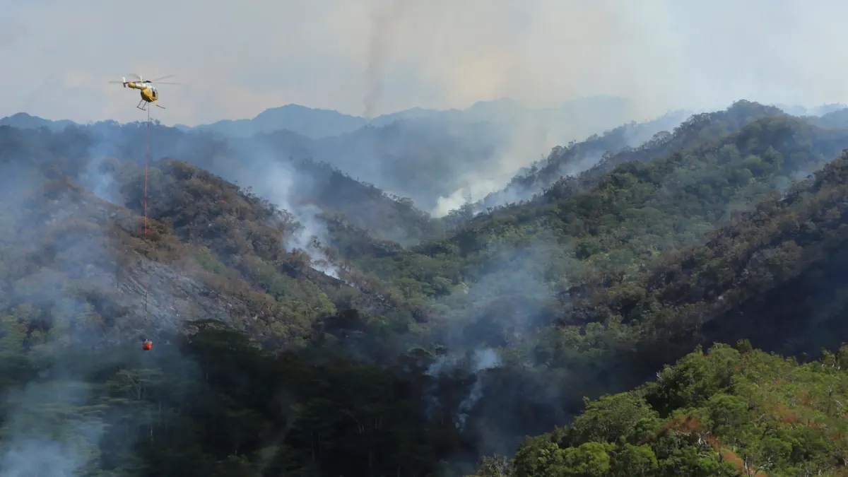 There’s another wildfire burning in Hawaii. This one is destroying irreplaceable rainforest on Oahu.