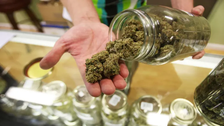 Alaska's Cannabis Capital Exposed: This City Takes the Lead in Weed Consumption!