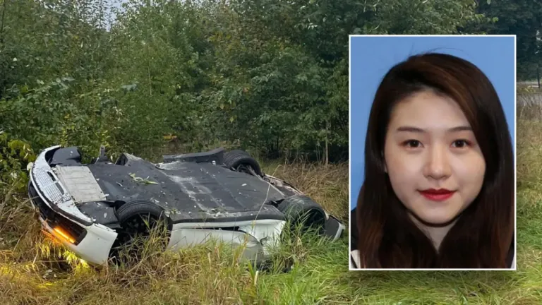 Washington Porsche driver flees to China after wild video