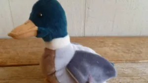 Why Beanie Baby Jake the Mallard Duck is Worth $900