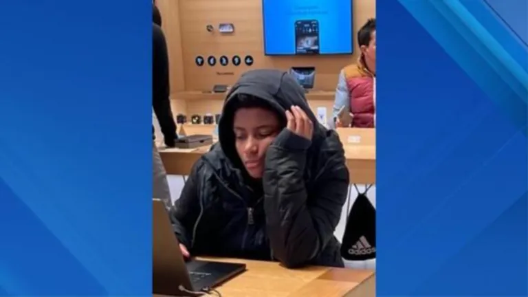 ‘So happy’ Illinois woman missing for 3 months found in Manhattan Apple store