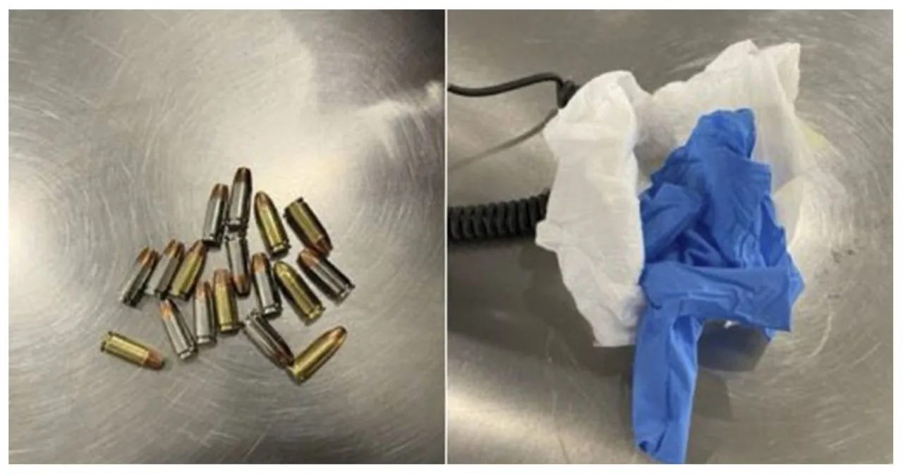 Baby Diaper Conceals 17 Bullets at New York Airport
