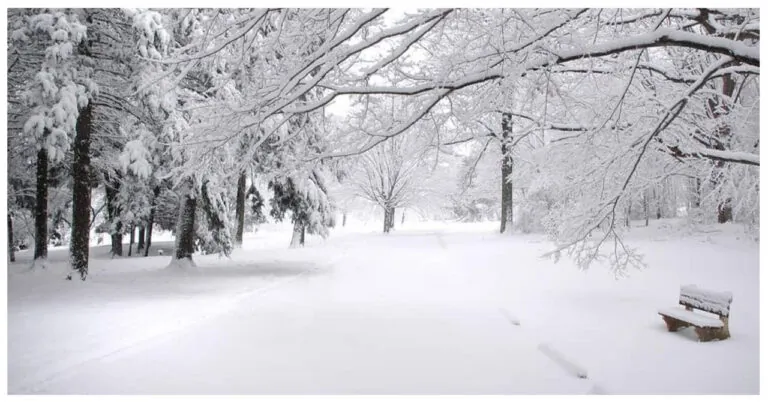 Rain and snow expected in Los Angeles' coldest storm of the season