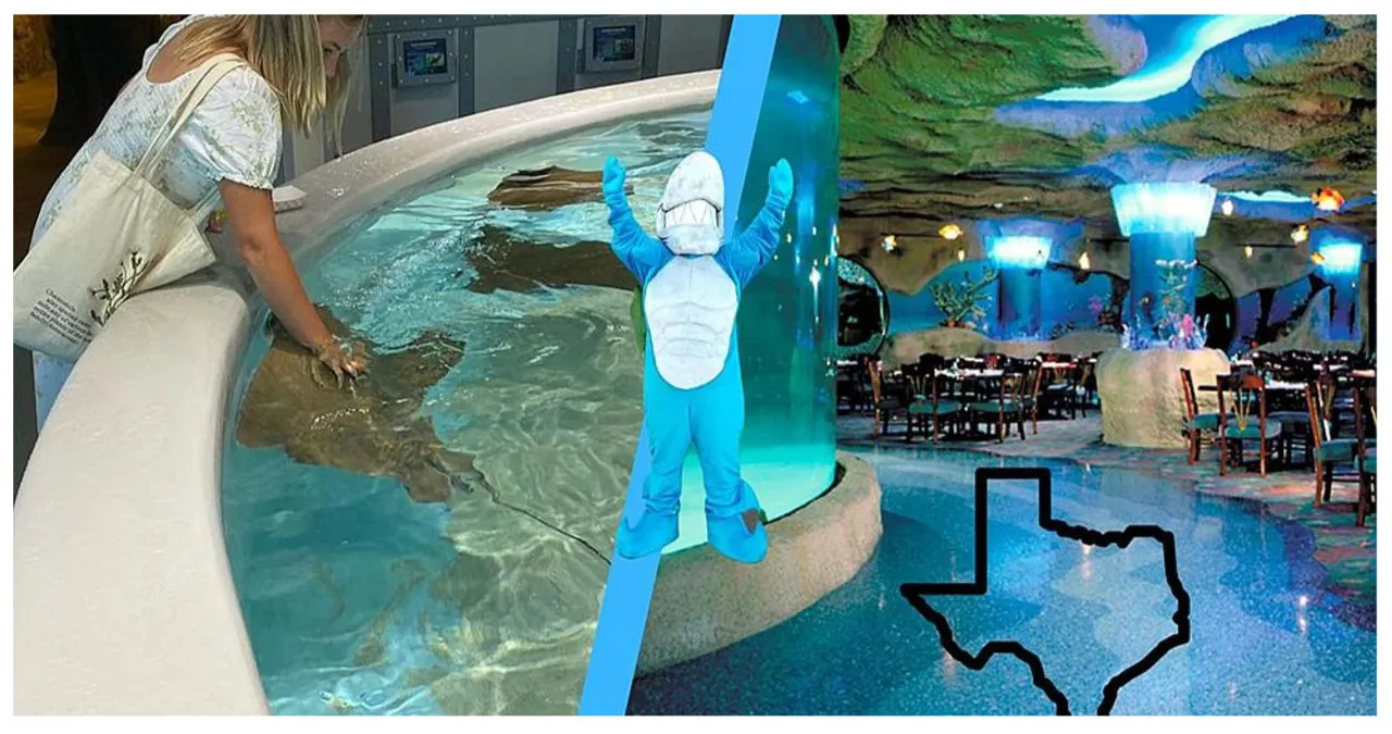 Discover Two Incredible Aquarium Restaurants in Texas!