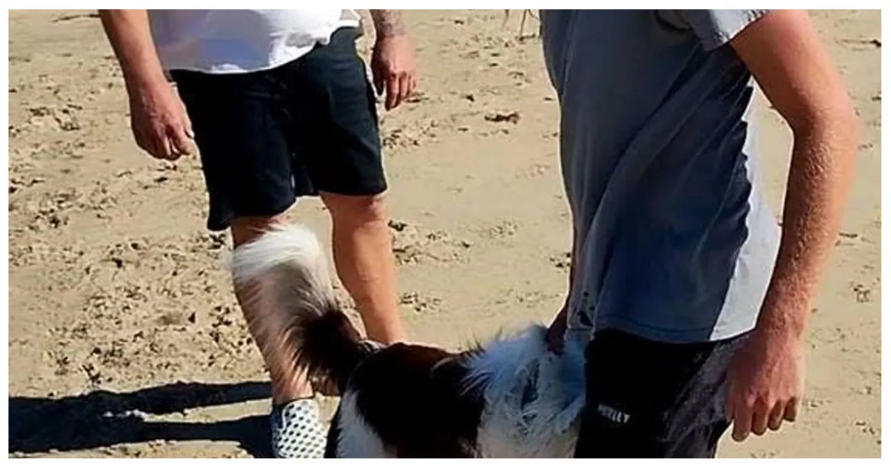 Elderly Victim Attacked By Two Men At An Orange County Dog Beach