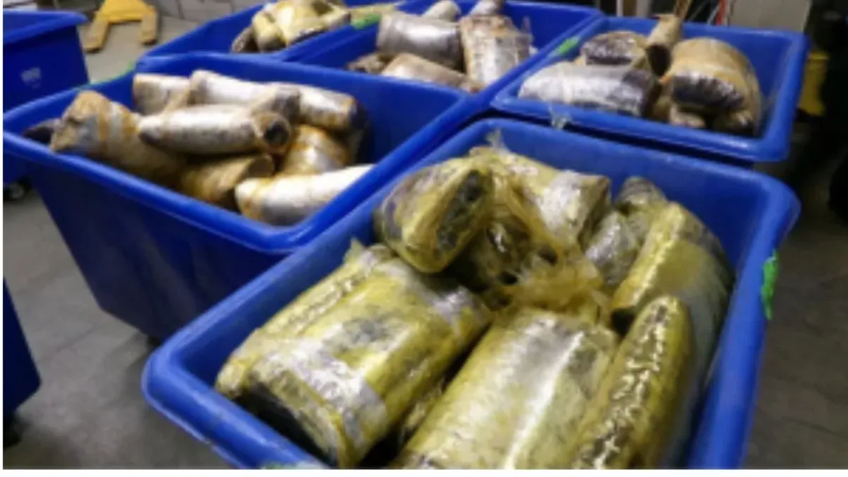 Drugs Found in Jalapeño Paste at U.S.-Mexico Border by K-9 Units