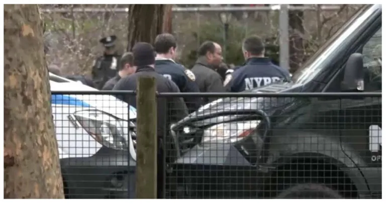 New York City Continues to Experience Alarming Trend as Another Body is Discovered