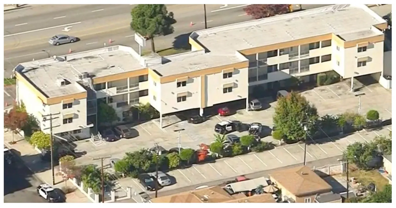 Bellflower Police Chase Suspect Surrenders After Hours-Long Standoff