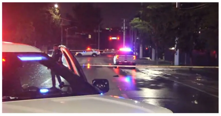 Serious Injuries Reported In Hit-And-Run Crash Involving Pedestrian In Miami