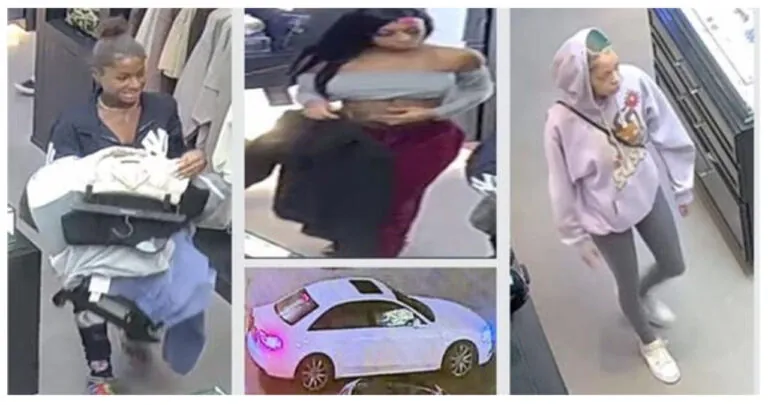 Sheriff's Detectives Searching For Suspects Involved In Black Friday Theft At Features Store