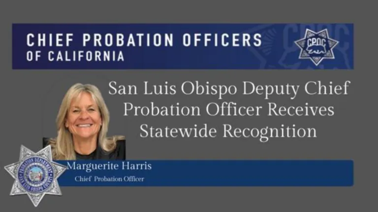 Statewide Honors for Local Deputy Chief Probation Officer Marguerite Harris