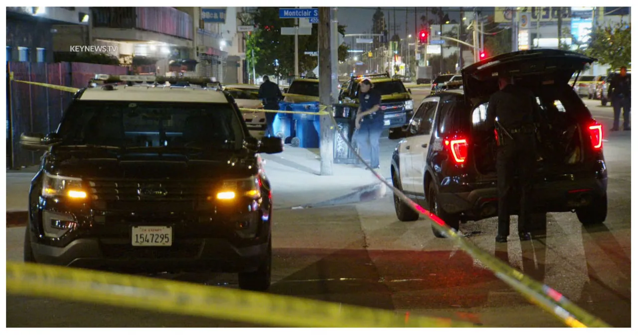 Double homicide and one injury reported in South LA shooting linked to gang activity - 2UrbanGirls