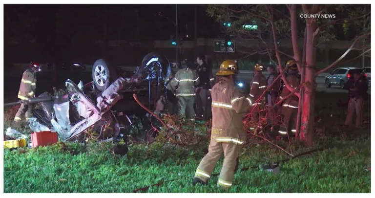 Fatal New Year Crash Claims Driver's Life Near Disneyland in Anaheim