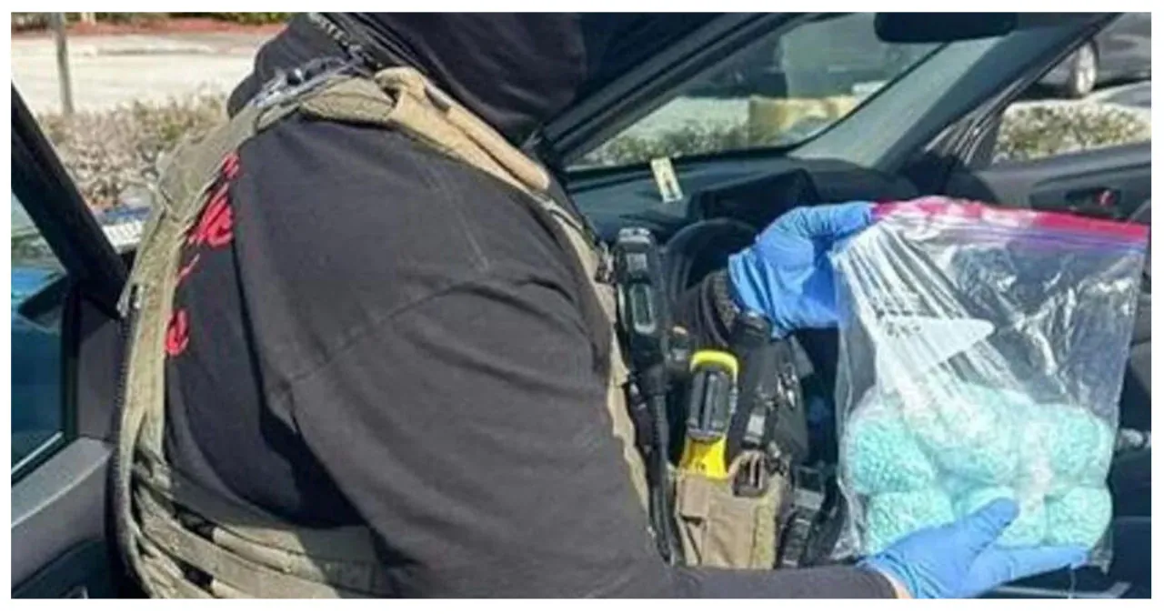 Florida Law Enforcement Confiscates $300k Worth of Hazardous Drugs